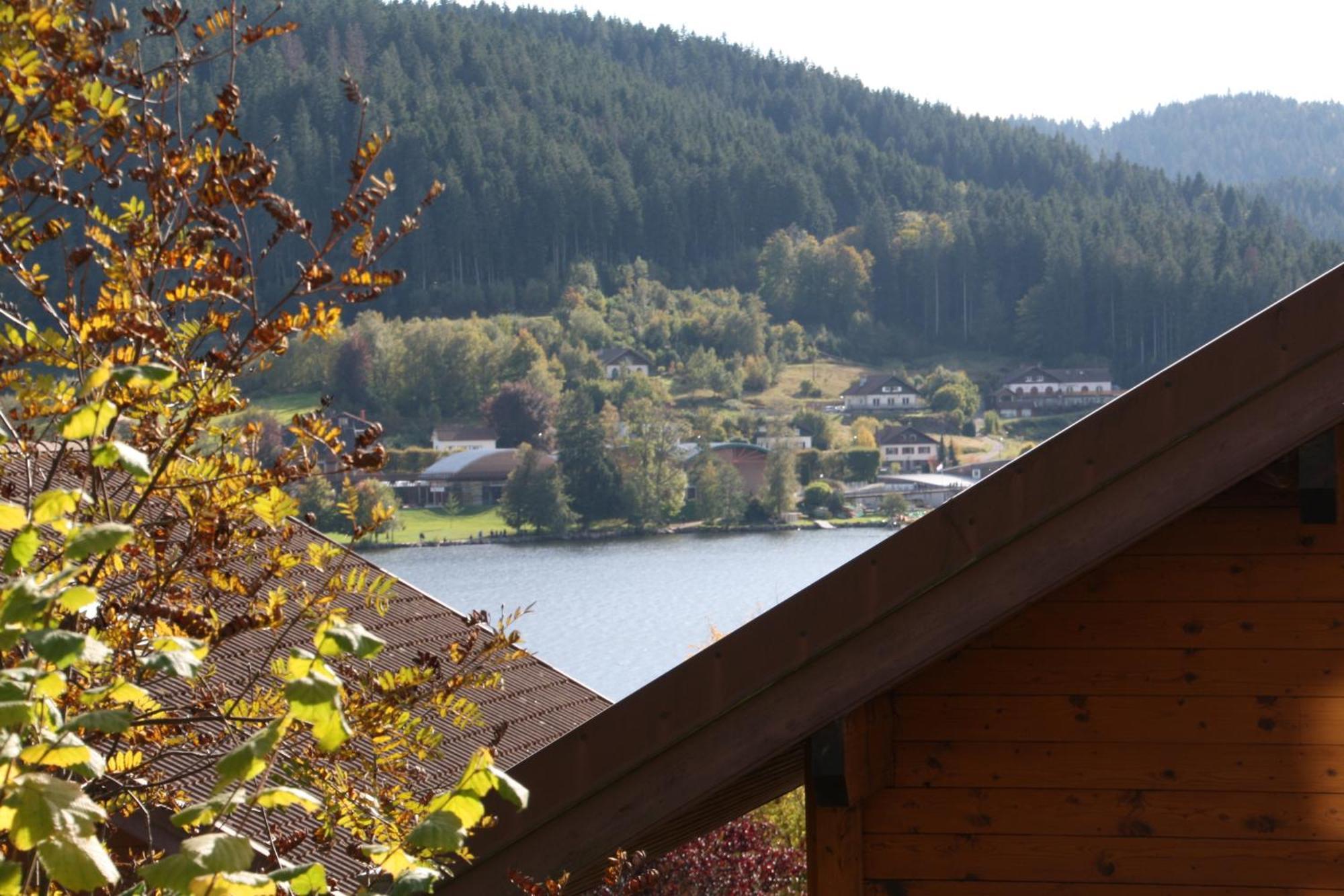 Vosgien Appartement Gérardmer